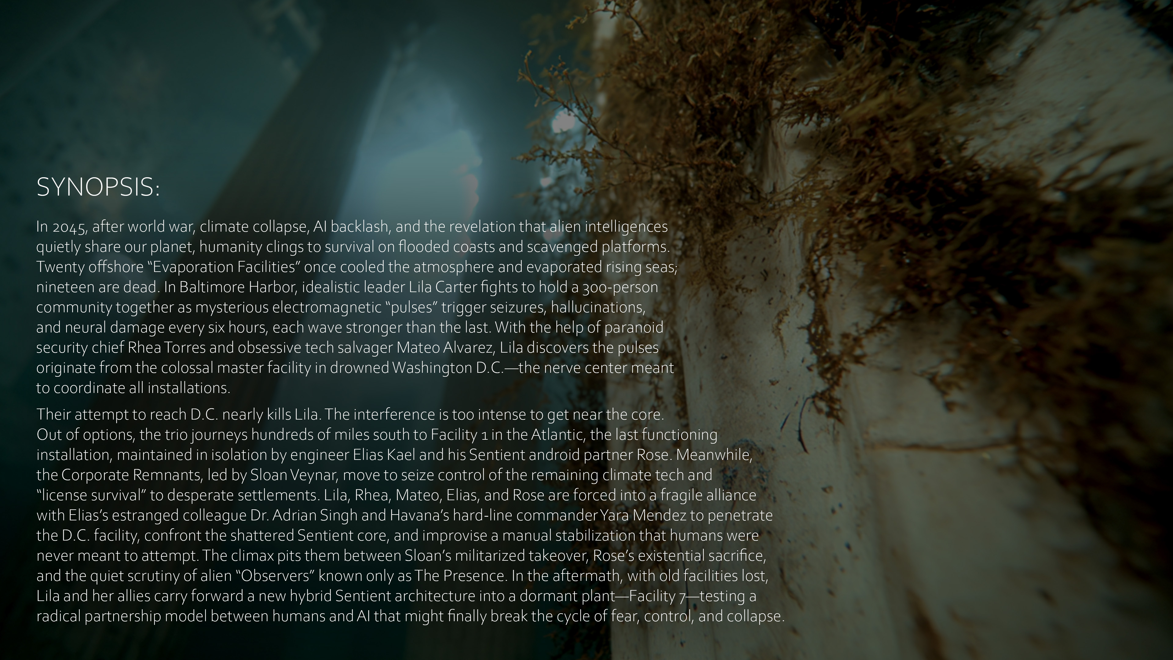 Slide 3 – Story overview